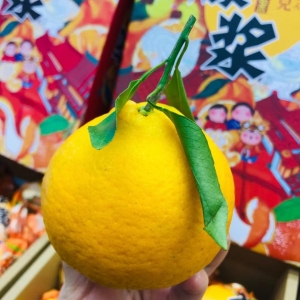 爆浆·耙耙柑